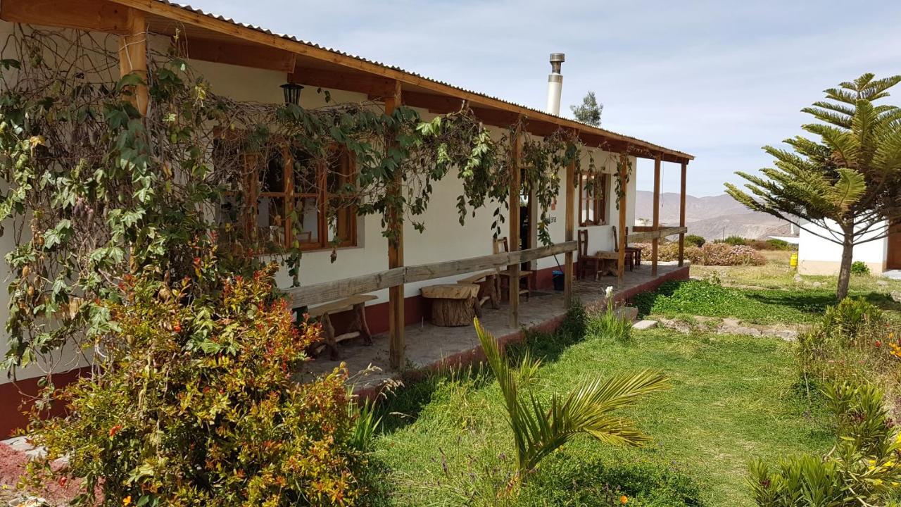 La Chakana Lodge Putre Bilik gambar