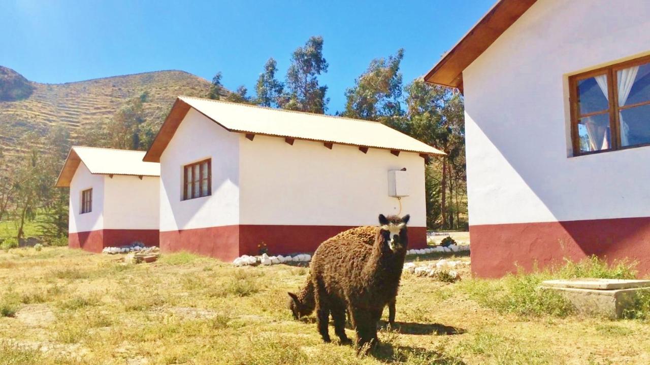La Chakana Lodge Putre Luaran gambar
